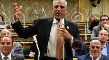مناقشات الحساب الختامي.. الحسيني: الهيئات الاقتصادية تحتاج "فلترة".. والبرلمان والحكومة "كتف في كتف"