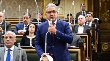 السجيني بمناقشات الحساب الختامي: يجب إعادة هيكلة الهيئات الخاسرة.. و"فلوس الديون احنا أولى بيها"