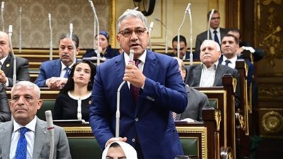 السجيني بمناقشات الحساب الختامي: يجب إعادة هيكلة الهيئات الخاسرة.. و"فلوس الديون احنا أولى بيها" السجيني بمناقشات الحساب الختامي: يجب إعادة هيكلة الهيئات الخاسرة.. و"فلوس الديون احنا أولى بيها"