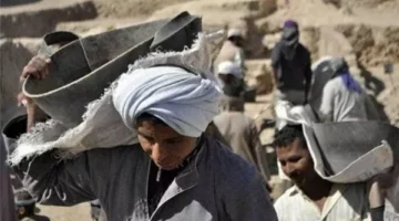 خطوات الاستعلام عن منحة العمالة غير المنتظمة 2025.. تابع الشروط الجديدة