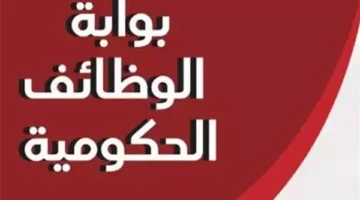 رابط بوابة الوظائف الحكومية الشاغرة 2025.. اعرف التخصصات المطلوبة