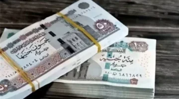 موعد صرف معاشات شهر مايو في مصر.. وفقا لـ التأمينات الاجتماعية