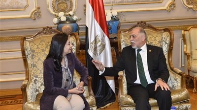 رئيس تضامن النواب تستقبل مايا مرسى  ومطالبات برفع الميزانية..صور