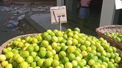 الليمون يتجاوز الـ100 جنيه الأيام المقبلة… شعبة الخضراوات تكشف تفاصيل الارتفاع الجنوني الليمون يتجاوز الـ100 جنيه الأيام المقبلة… شعبة الخضراوات تكشف تفاصيل الارتفاع الجنوني