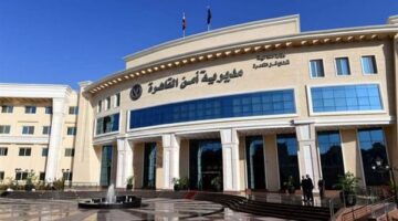 شخص يقتل سيدة مسنة لسبب غريب بالقاهرة