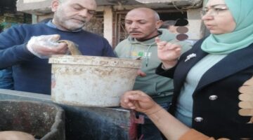 ضبط 400 كجم سردين مملح غير صالح للاستهلاك بالمنوفية