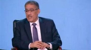ضياء رشوان: مصر وقطر تبذلان طوال الوقت ما يمكن أن يوفر المصلحة للقضية الفلسطينية