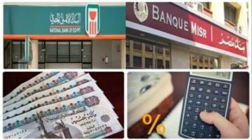 كيف تدعم البنوك المصرية تدفق الاستثمارات الأجنبية؟