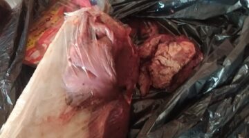 ضبط كميات كبيرة من اللحوم والكبدة غير الصالحة للاستهلاك الآدمي خلال حملة مكثفة في كفر الشيخ