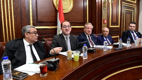 اليوم.. وزير المالية يستعرض موازنة 2025-2026 أمام خطة النواب اليوم.. وزير المالية يستعرض موازنة 2025-2026 أمام خطة النواب