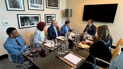 وزير الصحة يلتقي وفد «UNIDO» لبحث تعزيز التعاون في تنمية صناعة الأدوية واللقاحات