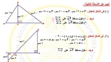 مراجعات نهائية.. تقييمات الأسبوع العاشر الرياضيات لـ الصف الثاني الإعدادي ترم ثاني