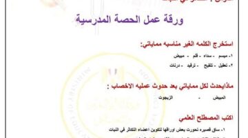 تقييمات الأسبوع العاشر العلوم لـ الصف الثاني الإعدادي