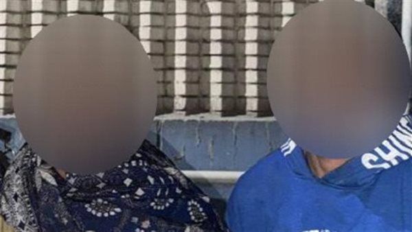 الأمن يضبط المتهمين بالتعدي بالضرب على حصان في القاهرة الأمن يضبط المتهمين بالتعدي بالضرب على حصان في القاهرة