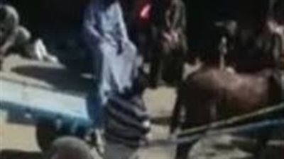 القبض على صاحب "كارو" تعدى على الحصان بالضرب في القاهرة القبض على صاحب "كارو" تعدى على الحصان بالضرب في القاهرة