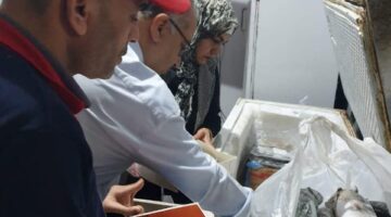 ضبط طني لحوم ودواجن وأسماك مجمدة مخالفة خلال حملات تفتيشية بالشرقية