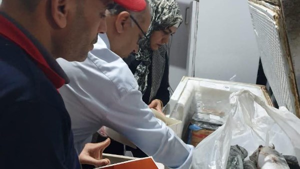 ضبط طني لحوم ودواجن وأسماك مجمدة مخالفة خلال حملات تفتيشية بالشرقية ضبط طني لحوم ودواجن وأسماك مجمدة مخالفة خلال حملات تفتيشية بالشرقية