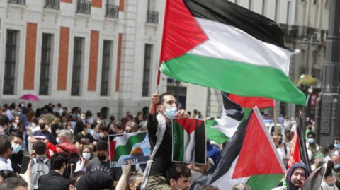 فرنسا.. نشطاء يضربون عن الطعام تضامنا مع غزة
