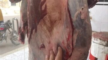 ضبط 2 طن لحوم ودواجن وأسماك مجمدة مخالفة بالشرقية
