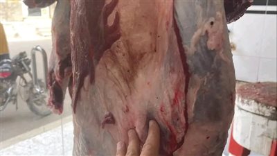 ضبط 2 طن لحوم ودواجن وأسماك مجمدة مخالفة بالشرقية ضبط 2 طن لحوم ودواجن وأسماك مجمدة مخالفة بالشرقية