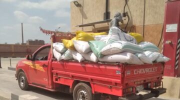 محافظ المنوفية : بدء موسم توريد القمح لهذا العام