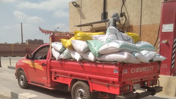 محافظ المنوفية : بدء موسم توريد القمح لهذا العام محافظ المنوفية : بدء موسم توريد القمح لهذا العام