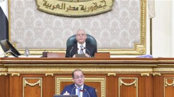 وزير المالية أمام البرلمان: حققنا أعلى فائض أولي بنحو ٤٣٥ مليار جنيه وبنسبة ٢,٥٪ من الناتج المحلي رغم تراجع إيرادات قناة السويس وقطاع البترول