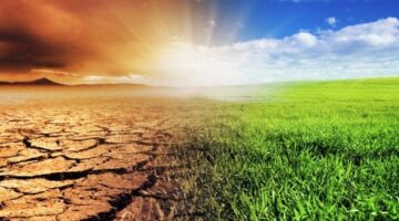 الجارديان تسلط الضوء على الآثار الكارثية لتغير المناخ في قارة أوروبا