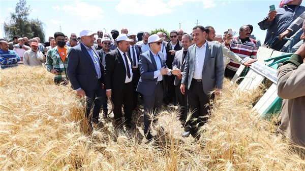 بدء موسم حصاد القمح بكفرالشيخ بحضور محافظ الإقليم بدء موسم حصاد القمح بكفرالشيخ بحضور محافظ الإقليم