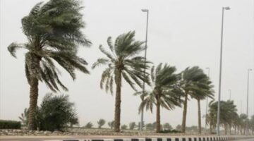الأرصاد تحذر من رياح قوية ورؤية متدنية على الساحل ورياح قوية وأمواج عالية في البحر الليلة