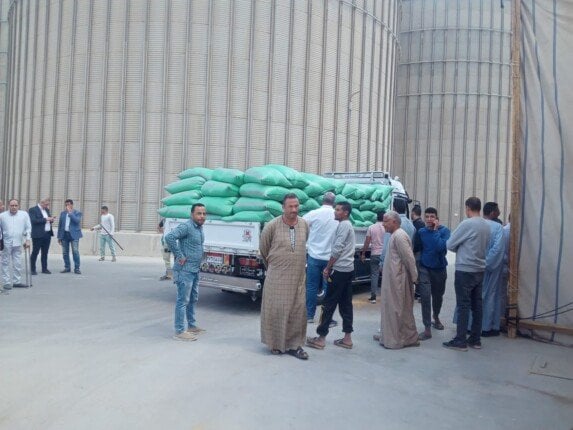 في أول أيام التوريد.. المنيا تستقبل 517 طن قمح في الشون والصوامع في أول أيام التوريد.. المنيا تستقبل 517 طن قمح في الشون والصوامع