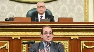 الموازنة العامة الجديدة.. تخصيص 29.6 مليار جنيه لدعم الإنتاج الصناعي.. وكجوك: سياسات مالية ومبادرات لتحفيز النمو الاقتصادي
