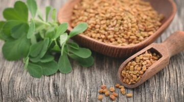 فوائد الحلبة لعلاج مشاكل الدورة الشهرية