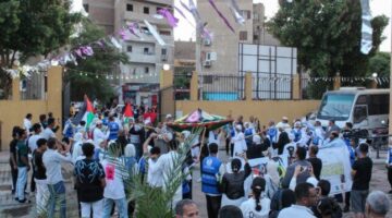 بمشاركة 17 فرقة من دول عربية وأجنبية.. كرنفال مسرح الجنوب يثير دهشة أبناء قنا