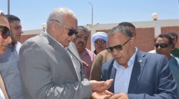 محافظ الوادي الجديد يفتتح موسم حصاد القمح