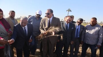 محافظ سوهاج يتفقد حصاد محصول القمح بأحد الحقول