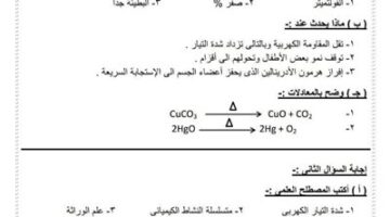 بالإجابات.. ننشر نموذج بوكليت مادة «العلوم _ Science» للشهادة الإعدادية 2025