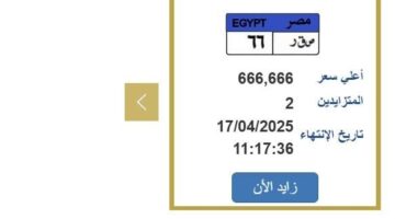 رقمها «ص ق ر 66».. مزايدة نارية على لوحة سيارة مميزة «اعرف الخطوات»