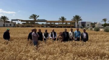 مركز بحوث الصحراء يتابع الأنشطة البحثية في جنوب سيناء ويشيد بالنتائج