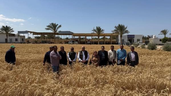 مركز بحوث الصحراء يتابع الأنشطة البحثية في جنوب سيناء ويشيد بالنتائج مركز بحوث الصحراء يتابع الأنشطة البحثية في جنوب سيناء ويشيد بالنتائج