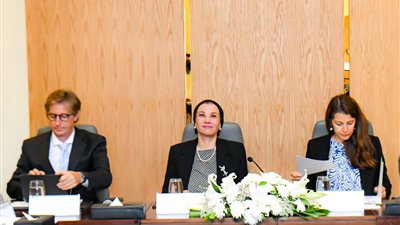 وزيرة البيئة تترأس الاجتماع الثالث لمجلس إدارة مشروع تحويل النظم المالية من أجل المناخ في مصر (TFSC) وزيرة البيئة تترأس الاجتماع الثالث لمجلس إدارة مشروع تحويل النظم المالية من أجل المناخ في مصر (TFSC)