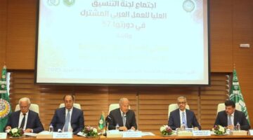 أبو الغيط : القضية الفلسطينية تتعرض لأخطر تهديد في تاريخها