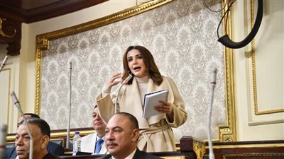 النائبة فاطمة سليم تتقدم بطلب إحاطة بشأن تأثير ارتفاع أسعار الورق والأحبار على قطاعي الثقافة والتعليم النائبة فاطمة سليم تتقدم بطلب إحاطة بشأن تأثير ارتفاع أسعار الورق والأحبار على قطاعي الثقافة والتعليم