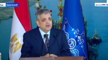 هيئة قناة السويس تزف أخبارا سارة بشأن زيادة الإيرادات