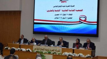 801 مليون جنية أرباح مدينة الإنتاج الإعلامي بزيادة 66.5 % خلال 2024