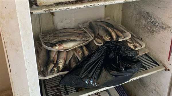 صحة السويس تشن حملات على محال بيع الأسماك المملحة قبل أعياد شم النسيم صحة السويس تشن حملات على محال بيع الأسماك المملحة قبل أعياد شم النسيم