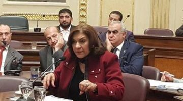 برلمانية: الأسواق المُجمعة تعزّز الصناعات المحلية وتحفز الاستثمار الداخلي