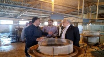 مدير جهاز حماية وتنمية البحيرات والثروة السمكية يتفقد المفرخ السمكي بالعباسة وصان الحجر بالشرقية