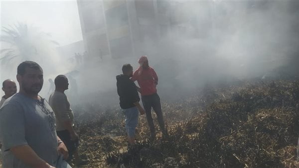 السيطرة على حريق جرن يضم 70 طن ثوم بقرية بني هاني في بني سويف السيطرة على حريق جرن يضم 70 طن ثوم بقرية بني هاني في بني سويف