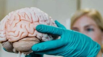 هل نحن أمام وباء جديد؟.. مرض دماغي نادر يجتاح ولاية أميركية